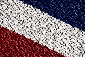法國愛麗舍宮(Elysee Palace)去年9月開設網店,所有商品標榜是法國製造,出售各式各樣的紀念品。