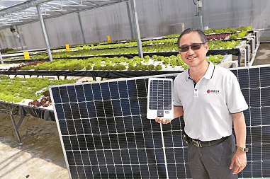 香港光電控股主席吳克耀指，從太陽能板還原的矽，只能成為次級材料。