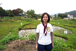 藝術家方韻芝踏入稻田，與「大地予我」團隊栽培出新的本地絲苗，共同譜寫香港稻米的歷史。