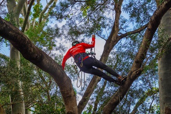 註冊攀樹師李綺璇在泛亞太平洋區攀樹錦標賽2026的初賽中，奪得空中拯救項目第三名。