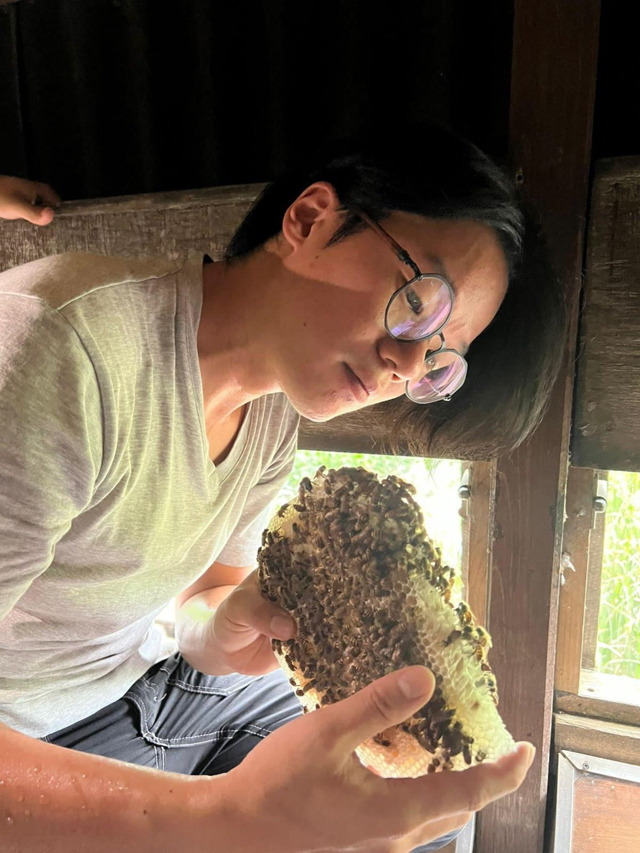 黃嘉漢（Harry）指出，蜜蜂能傳播花粉，對生態系統有重要作用。